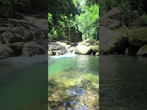 Refugio del Tapir- San Francisco, Jujuy.
