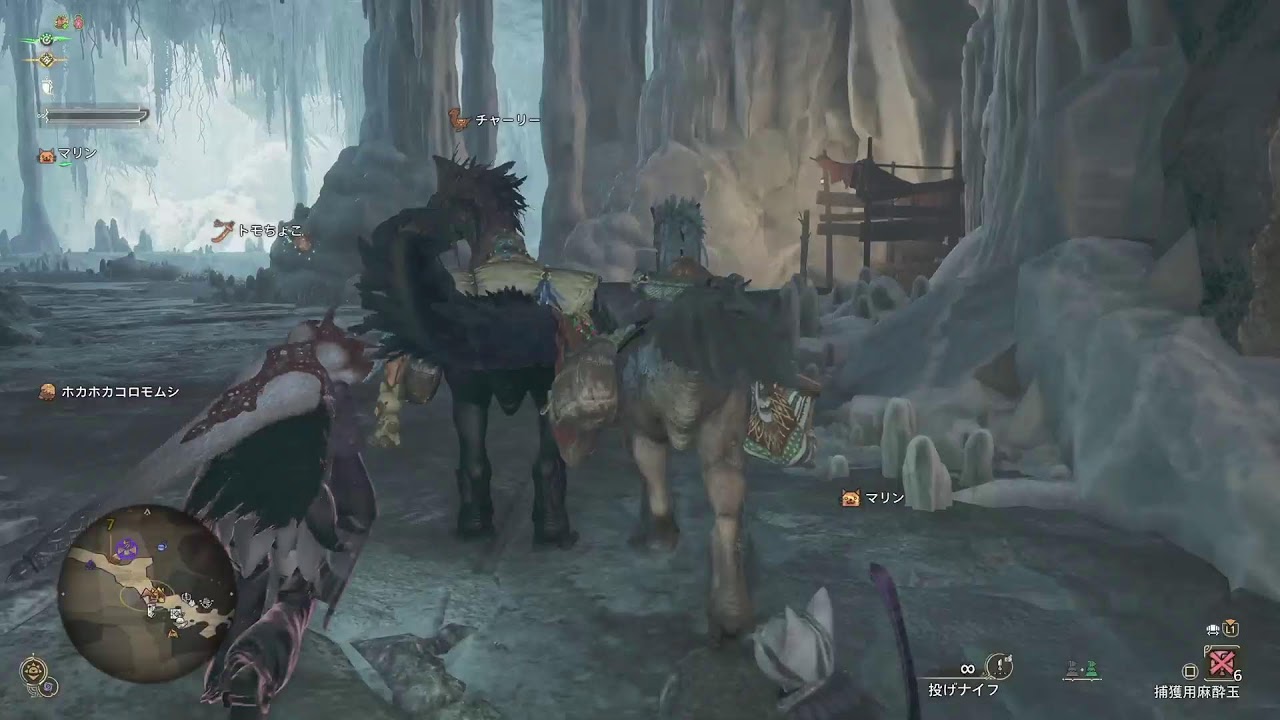 [MHWs]雑談しながらモンハン金冠集め[トモちょこ]