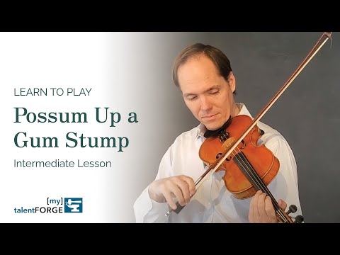 Possum Up a Gum Stump - Intermediate Fiddle Lesson