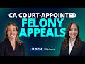 Introduction to California’s Court-Appointed Felony Appeals System | Justia Webinars