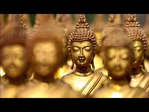 A Macaca, Gama & Agartha - J'écris