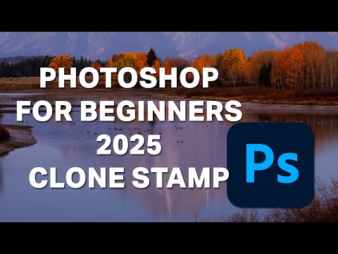 Clone Stamp Tool  - Photoshop for Beginners - 2025