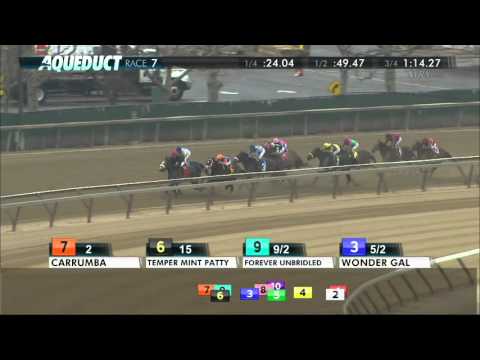 Forever Unbridled - 2015 Comely Stakes