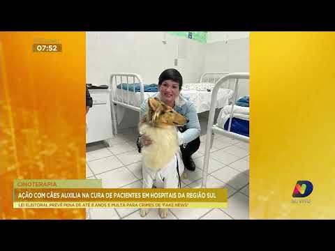 Cinoterapia: ação com cães auxilia na cura de pacientes em hospitais da região Sul