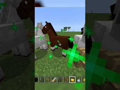Minecraft Infinite Speed Horse Glitch Tutorial [Bedrock 1.19.51] #shorts