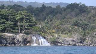 Jamaican Winds- Jaared