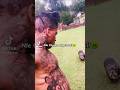Which Dog Xxxtentacion Legend Shorts