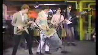 The Fleshtones 12 Months Later live 1986 on Canadian TV