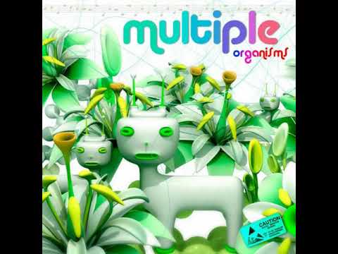 Shanti & Jimbo - What Vibrations