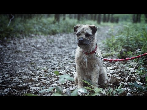 Lance C. Fuller commercial &mdash; 30 Millions d&rsquo;Amis
