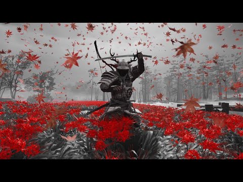 🔴LIVE🔴 No Copyright Mix 2024 - Best EDM Music for Twitch & Youtube Streams