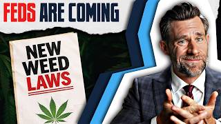 Marijuana Law Blows