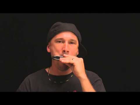 Harmonica Basics XVI -  Learn to Play Harmonica Octaves (+good blues outro lick)