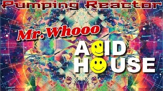 Mr.Whooo - Acid House (Original mix)