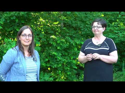 Die Stadt Wurzen lädt zum Parkfest!