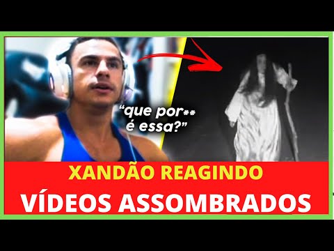 SUPER XANDÃO REAGINDO A VIDEOS ASSUSTADORES - XANDÃO REACT
