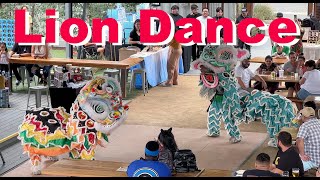 Lion Dance Performance  4K