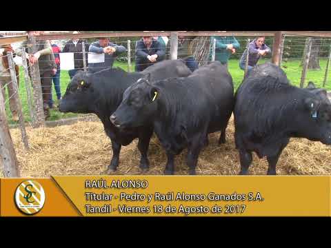 18-08-17 Nota Raúl Alonso - Pedro y Raúl Alonso Ganados S.A. - Tandil