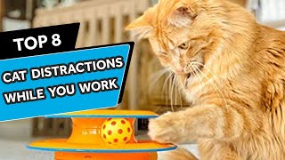 8 Ways to Keep Your Cat Busy While You
