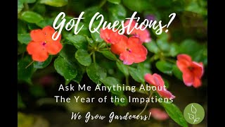 Everything You Wanted to Know About Impatiens! Grow a Lush Garden This Year Tips From the Experts!🪷