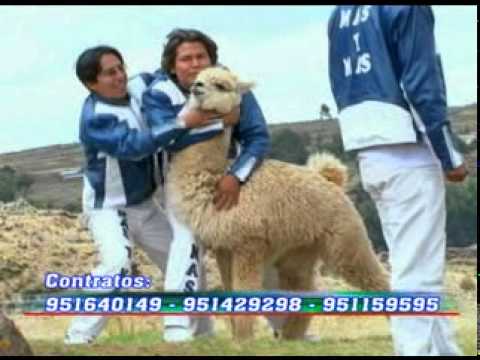 Tu No Vales Nada - Grupo Mas Y Mas