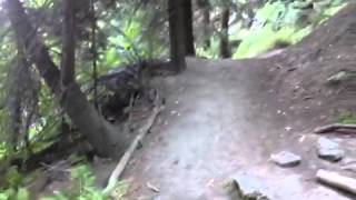 preview picture of video 'video1.mov: High sierra trail part 1 mehrten creek'