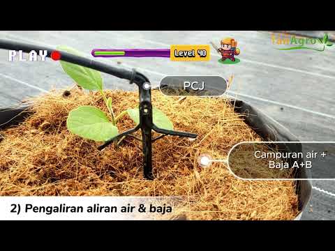 𝙋𝘼𝙍𝙏 3: 𝘽𝙖𝙜𝙖𝙞𝙢𝙖𝙣𝙖 𝙣𝙖𝙠 𝙩𝙖𝙣𝙖𝙢 𝙩𝙚𝙧𝙪𝙣𝙜 𝙙𝙖𝙣 𝙢𝙚𝙢𝙥𝙚𝙧𝙤𝙡𝙚𝙝 𝙝𝙖𝙨𝙞𝙡 𝙮𝙖𝙣𝙜 𝙗𝙖𝙞𝙠 ?