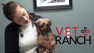 Beauty is Only Skin Deep