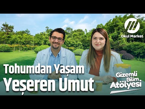 Tohumdan Yaşam