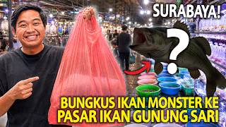 Download lagu BUNGKUS IKAN MONSTER KE PASAR IKAN TERBESAR DI SURABAYA GUNUNGSARI! BANYAK IKAN PREDATOR LANGKA! mp3 Download lagu BUNGKUS IKAN MONSTER KE PASAR IKAN TERBESAR DI SURABAYA GUNUNGSARI! BANYAK IKAN PREDATOR LANGKA! mp3