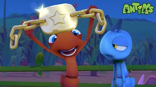 Download lagu Maniak Gulat, Juara Gulat!🏆 | ANTIKS Indonesia | Kartun Anak | Petualangan Semut ANTIKS mp3 Download lagu Maniak Gulat, Juara Gulat!🏆 | ANTIKS Indonesia | Kartun Anak | Petualangan Semut ANTIKS mp3