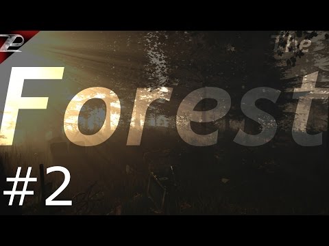 The Forest #2: Verteidigungswall