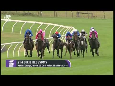 Key Factors: Spring Champion Stakes Day