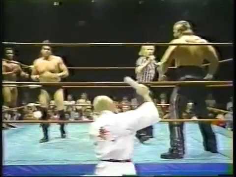 Jay Youngblood & "Pistol" Pez Watley vs. The Road Warriors