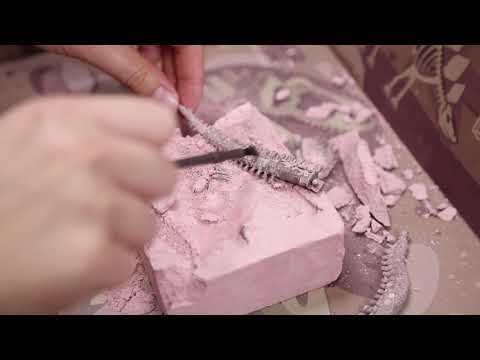 4M Vaikiška laboratorija: brachiozauro skeletas video