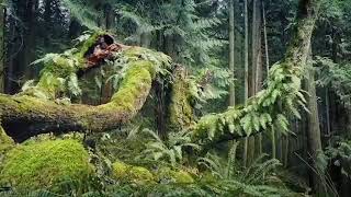 [AS BUMP] Bibio - Artists' Valley [2018]