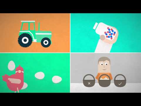 IFAH’s vision for healthier animals and a healthier world