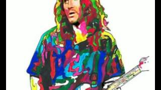 John Frusciante - Niandra LaDes and Usually Just A T.shirt - 14 - Untitled #2