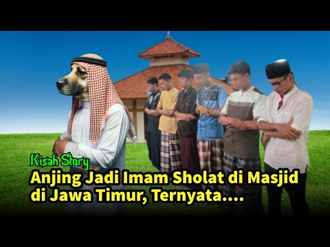 Terjadi Setiap Hari di Satu Desa Jawa Timur Anjing Jadi Imam di Masjid, Ternyata Begini #KisahStory