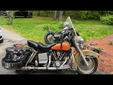 1981 heritage  peas and carrots FOR SALE