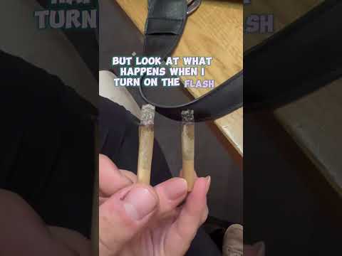 White Ash VS Black Ash. Flash Vs No Flash