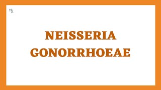 Neisseria gonorrhoeae or Gonococcus | Gram Negative Diplococcus | Pathogenesis of Gonorrhea