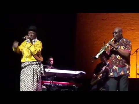 Sallè John & Manu Dibango live at Apollo Theater in Harlem, New York on December 5, 2015 (5)