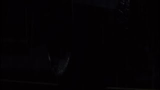 あっちゃんのバイオハザードRE：2 実況　#1*