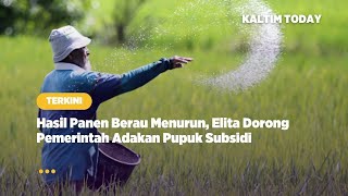 Hasil Panen Berau Menurun, Elita Dorong Pemerintah Adakan Pupuk Subsidi