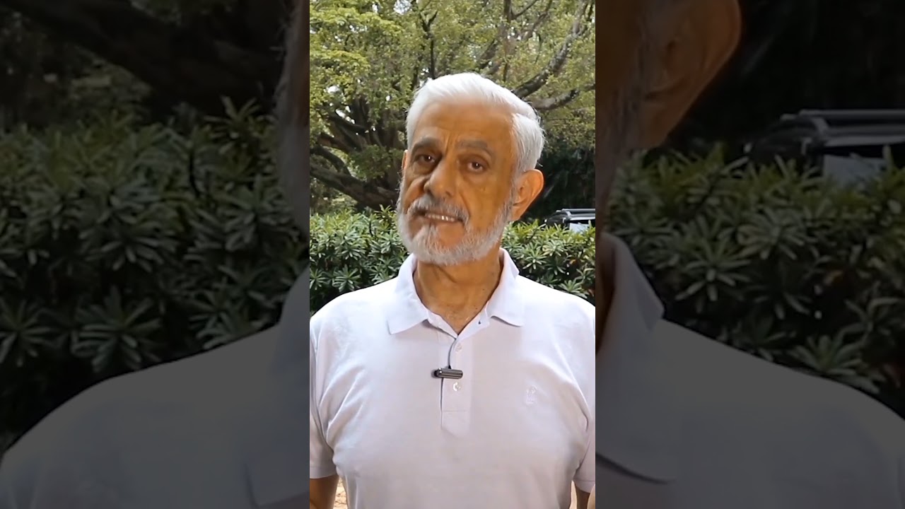 Por que devo fazer uma cerca viva?