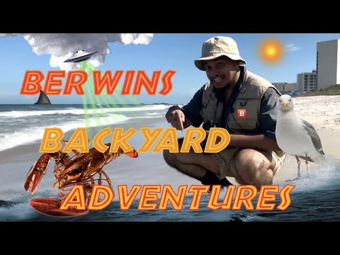 BERWIN'S BACKYARD ADVENTURES: Episode 3 - The Beach