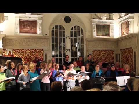 Nürnberger Stadtstimmen Hirsvogelsaal (04)