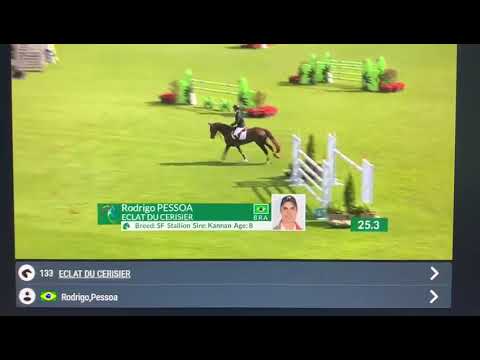 Eclat du Cerisier - Aix la Chapelle