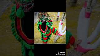 Download lagu Story' wa tresno kepenggak Moro tuo mp3